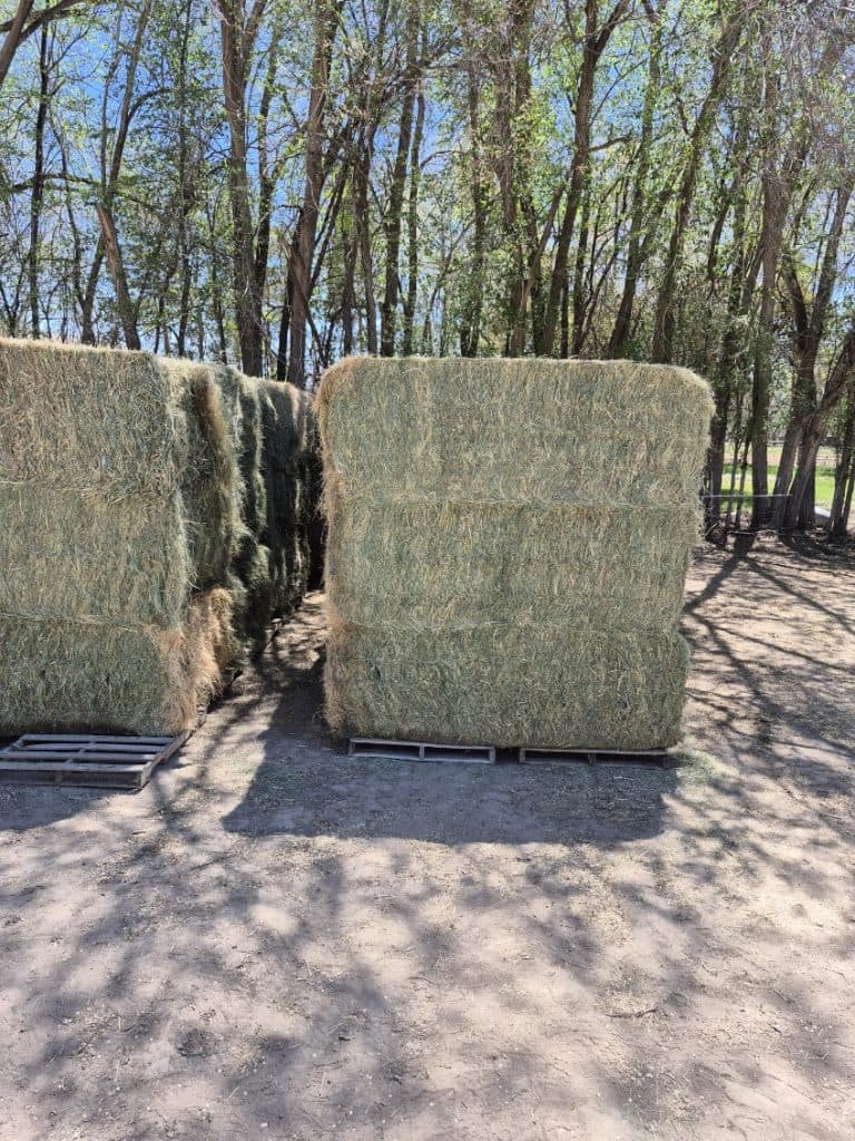 HAY FOR SALE