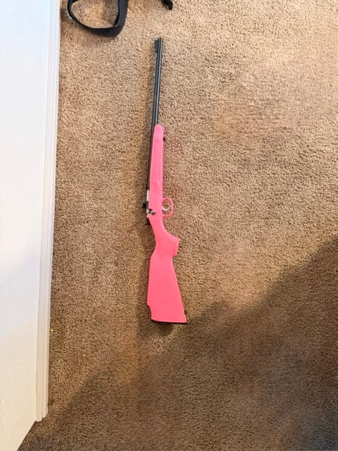 .22 riffle