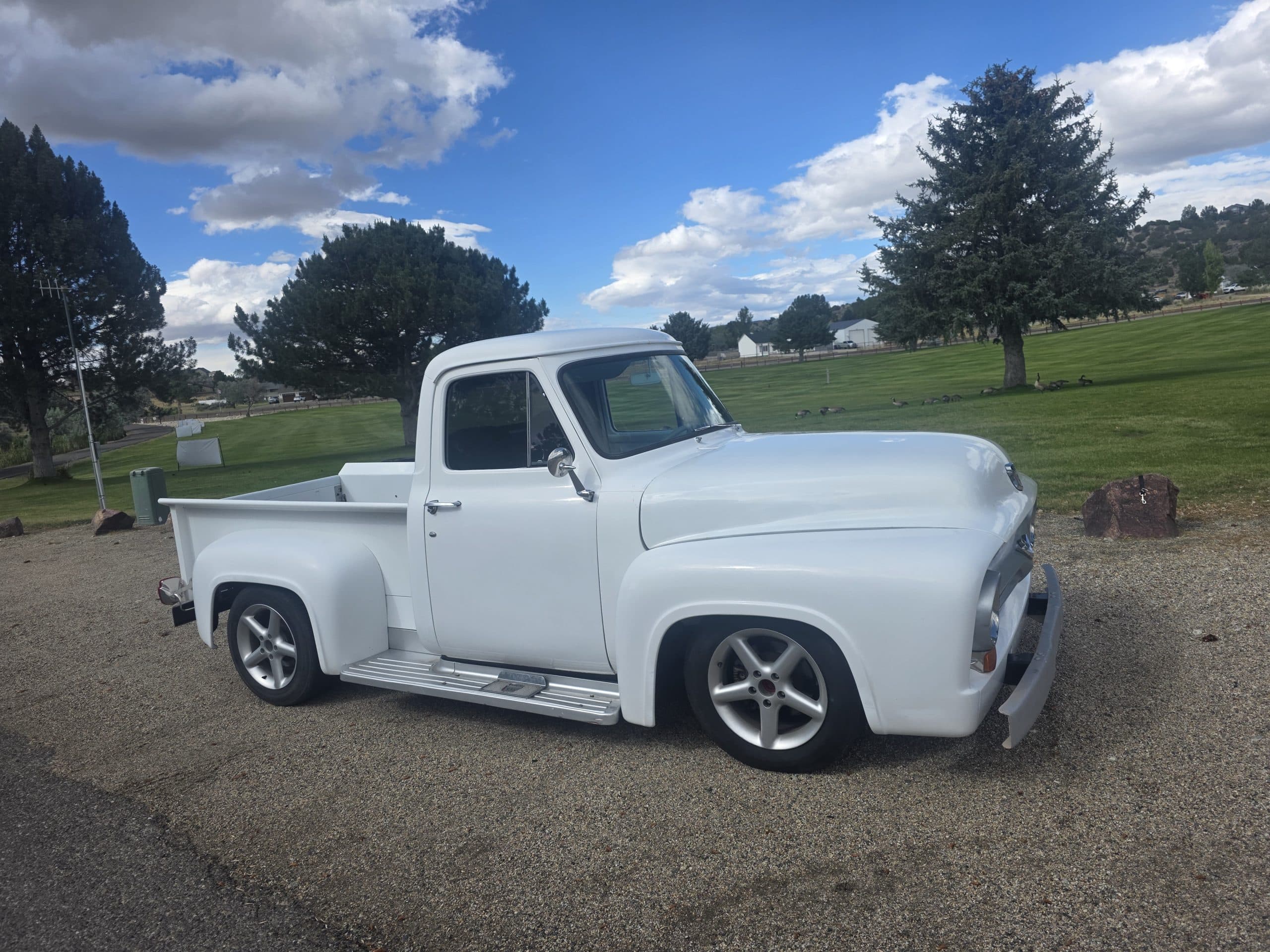 1954 Ford f100