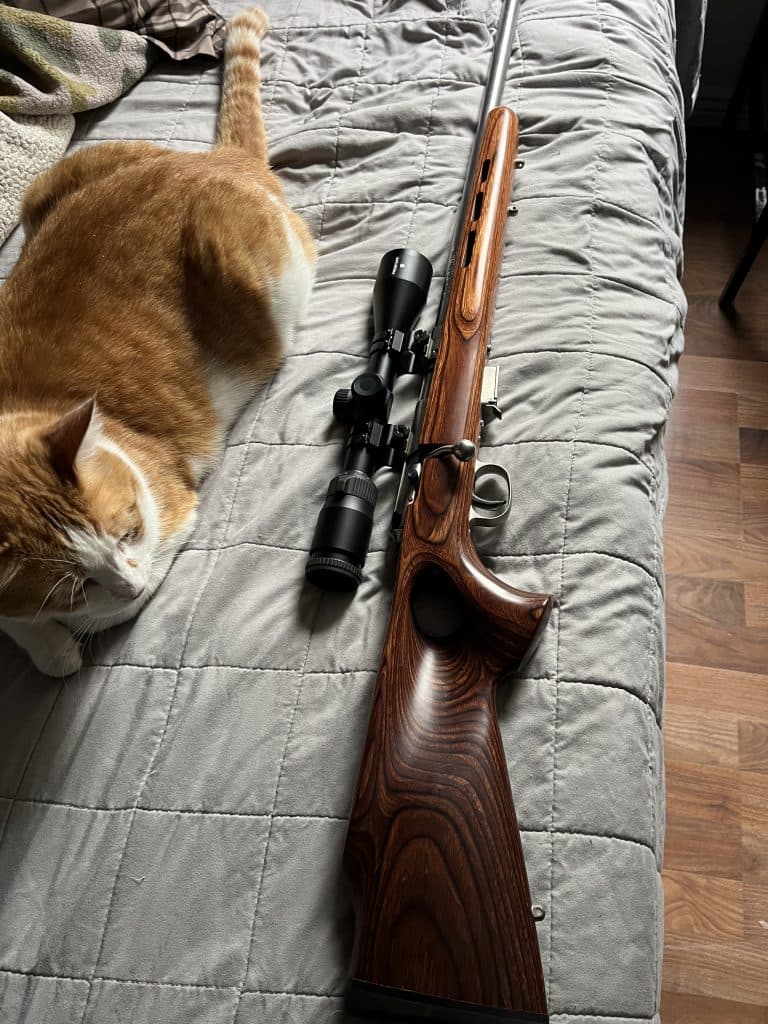 17 HMR Custom bull barrel