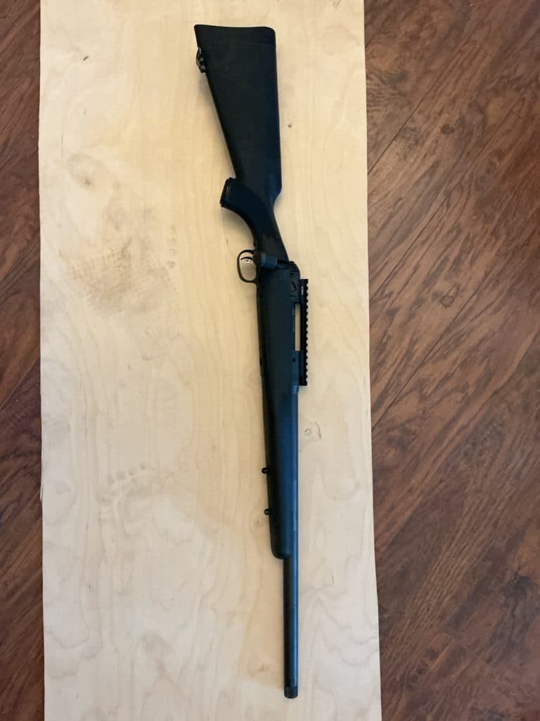 Savage model 10 .308