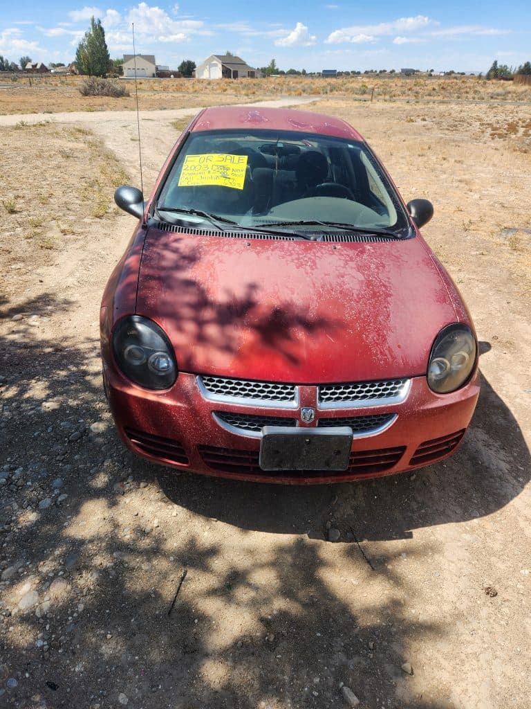2003 dodge neon SXT