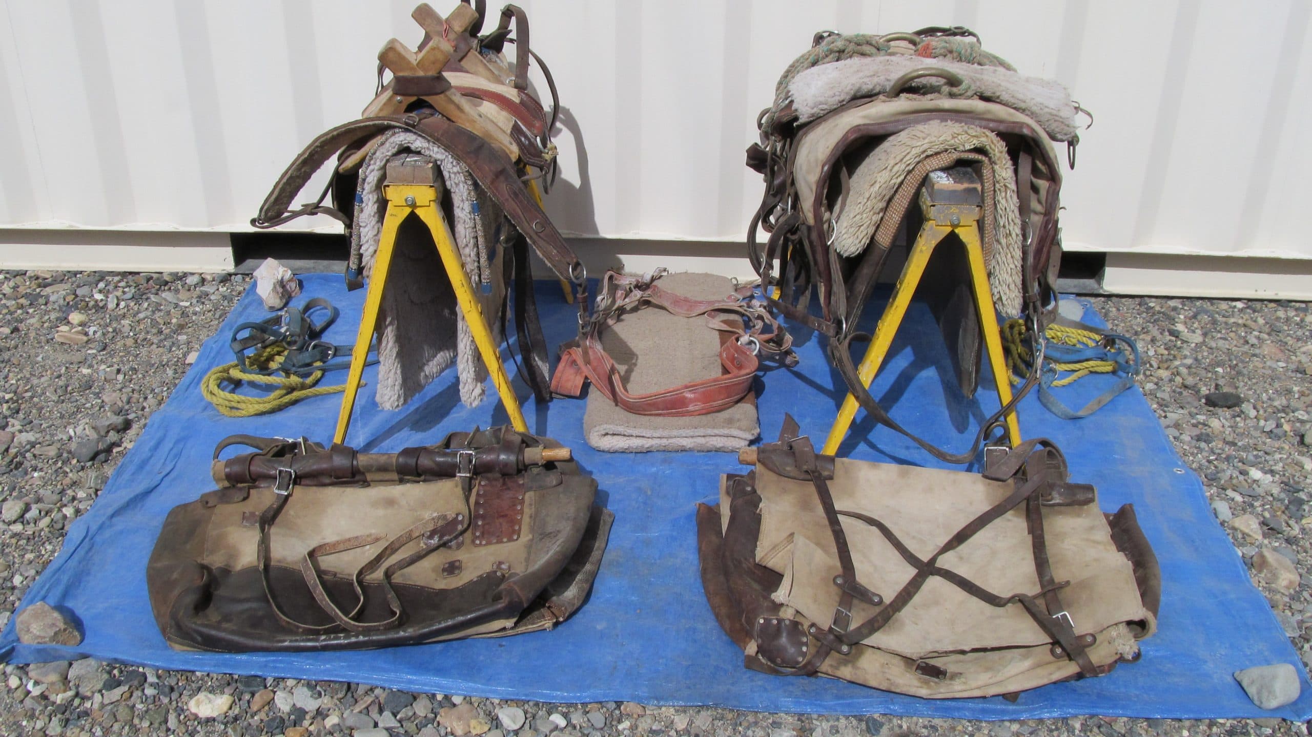 Pack Saddles and Panniers