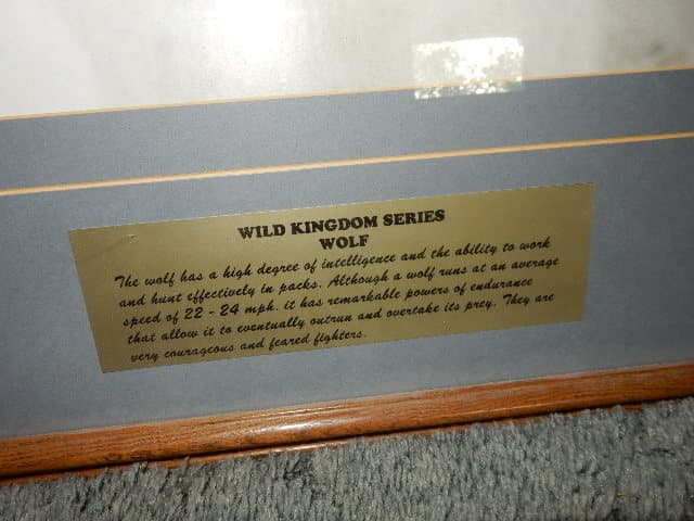 Wild Kingdom Series Wolf