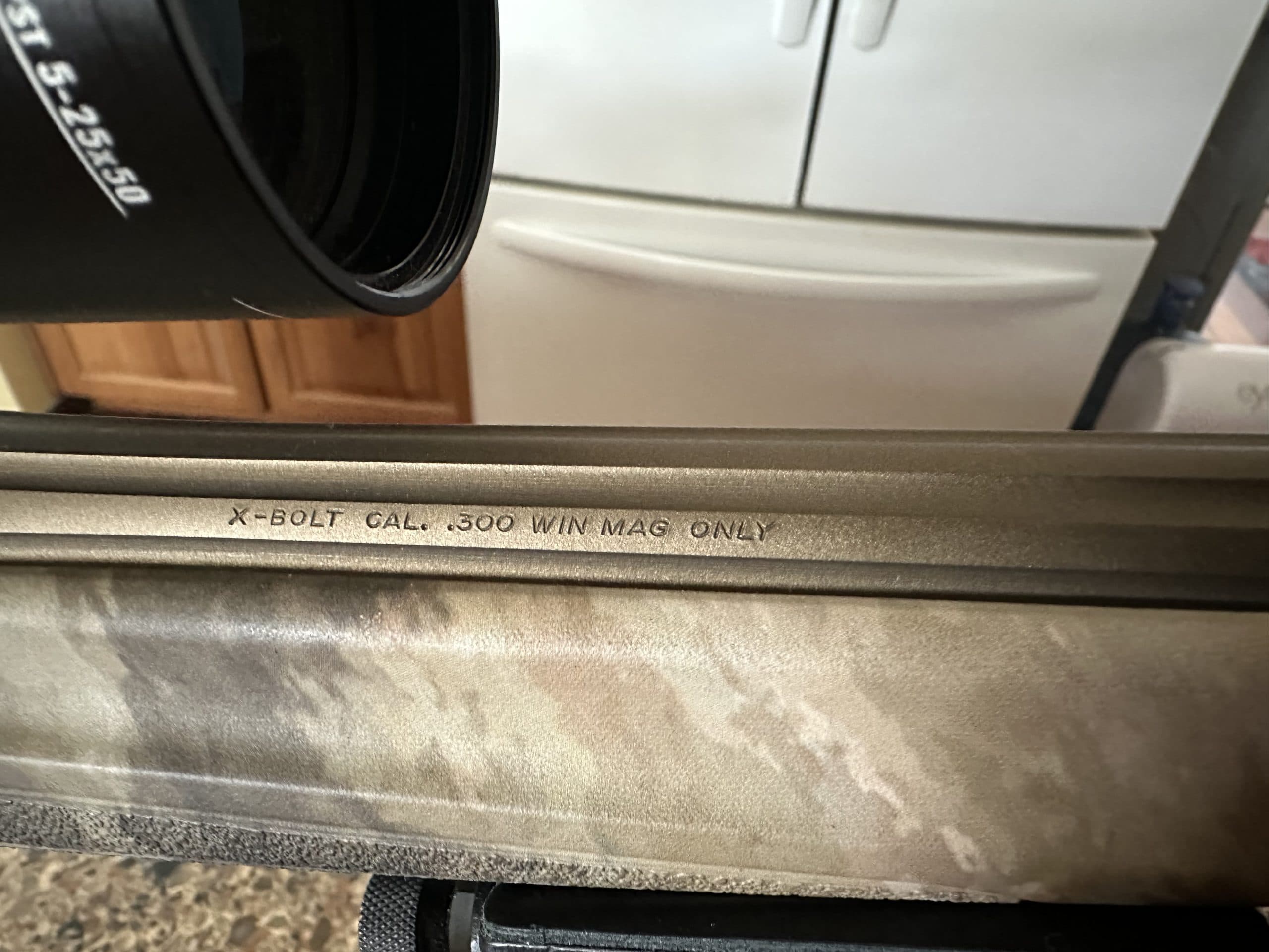 Browning x bolt 300 win mag