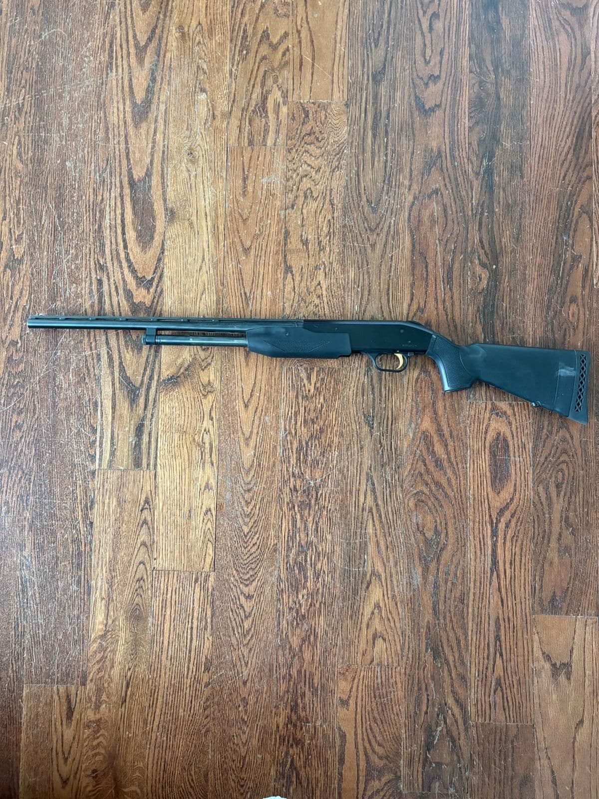 Mossberg .410 + ammo