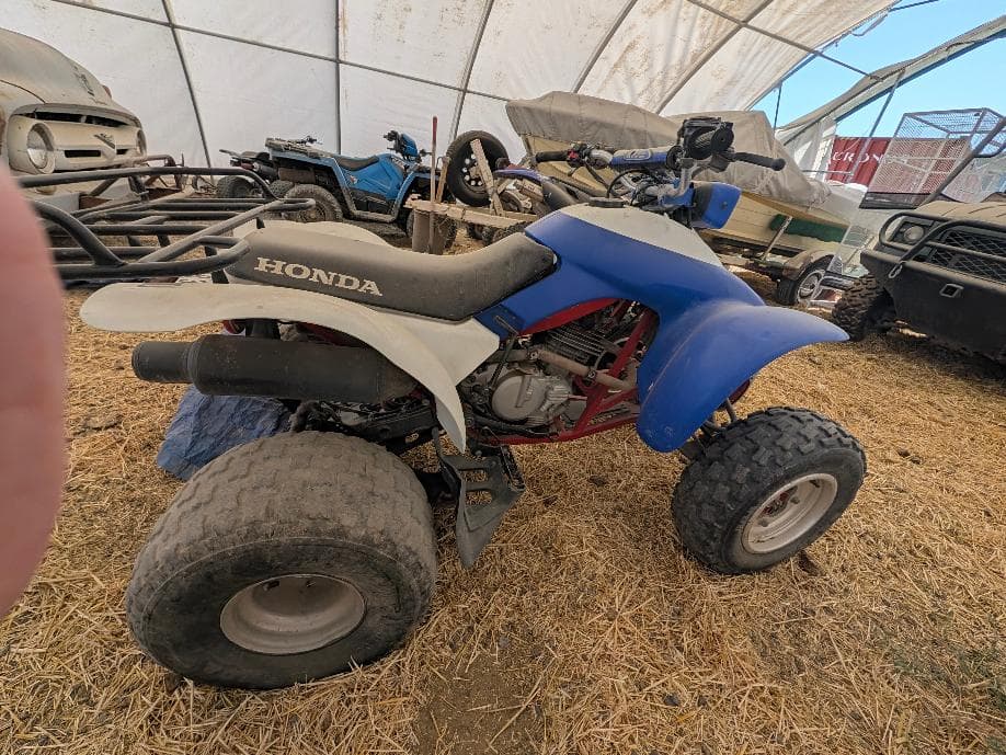 1991 Honda 250X
