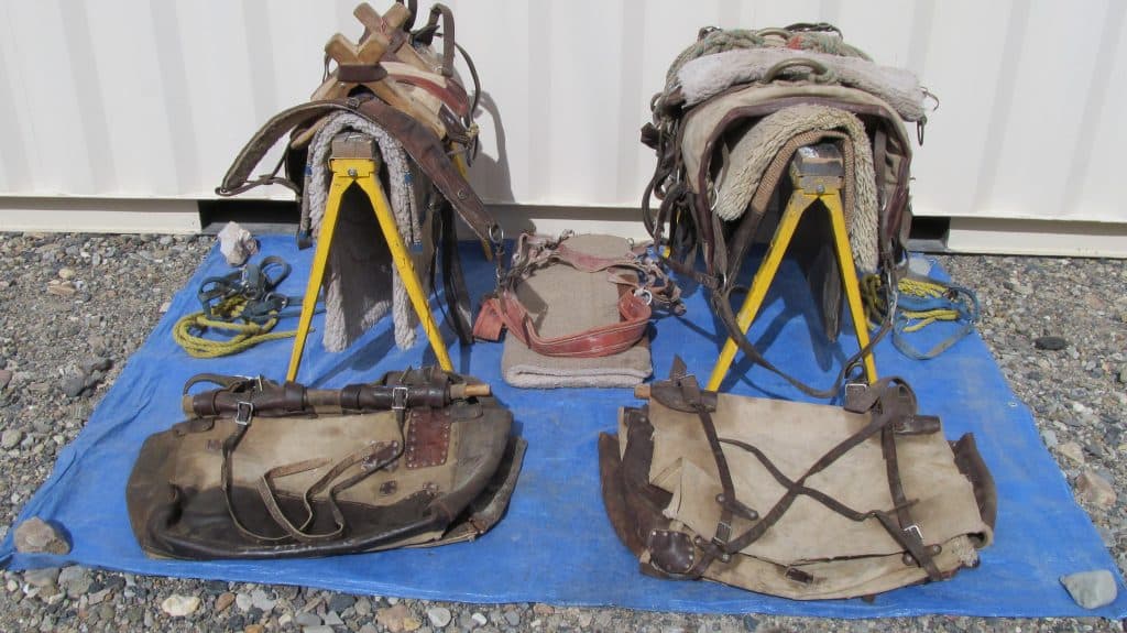 Pack Saddles and Panniers