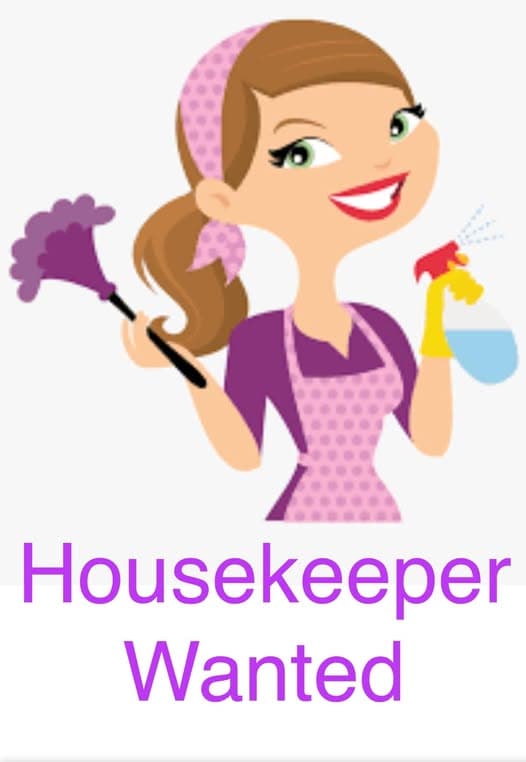 Looking for a Handy Man & Household Help/Cleaning